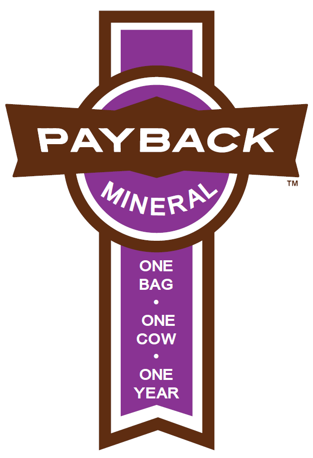 Payback Mineral. One Bag. One Cow. One Year.